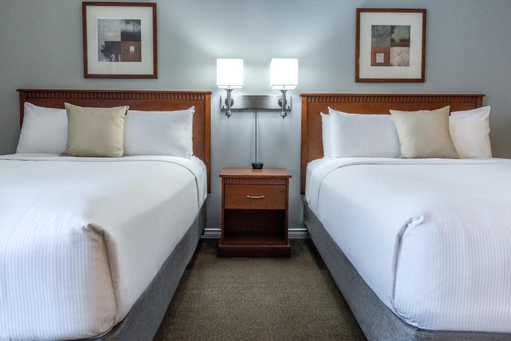 Hotel Saint-Laurent Montreal Room Type - Queen Studio with Two Queen Beds