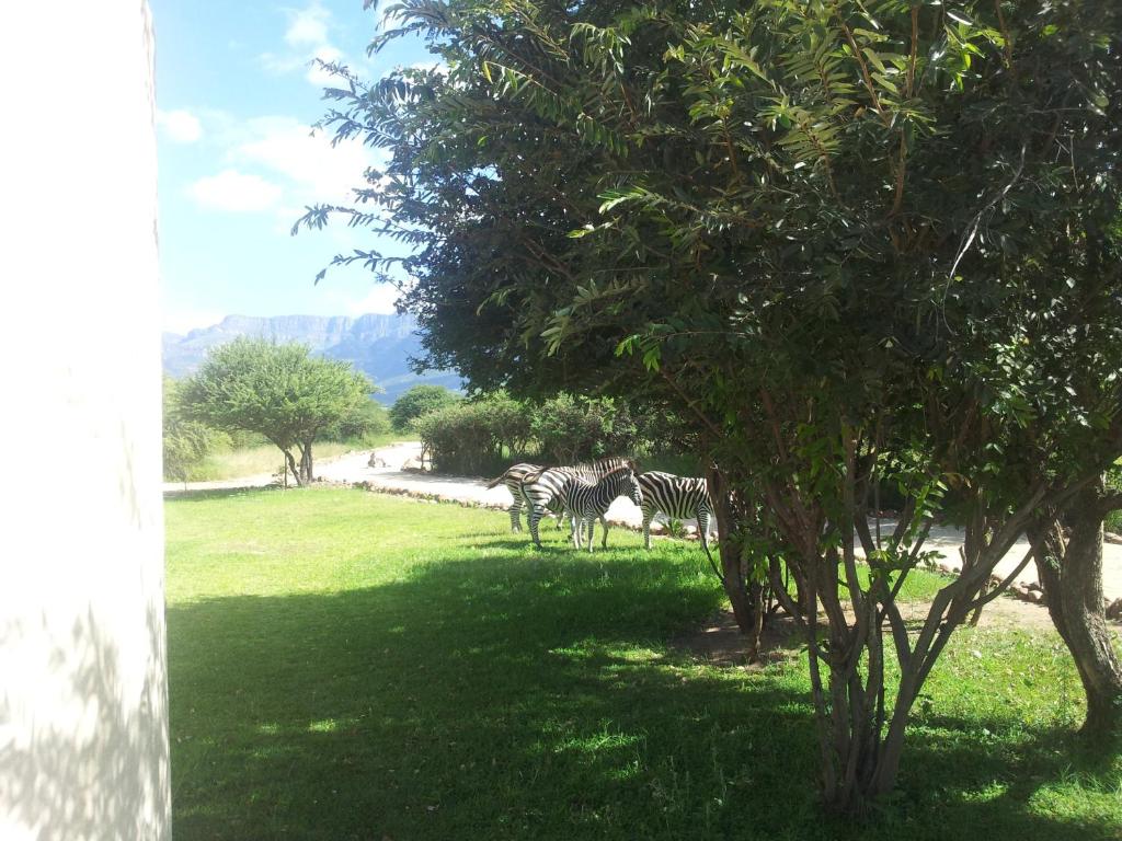 Beautiful Mountain Views From A 2-Bedroom Home With Pool photo 3