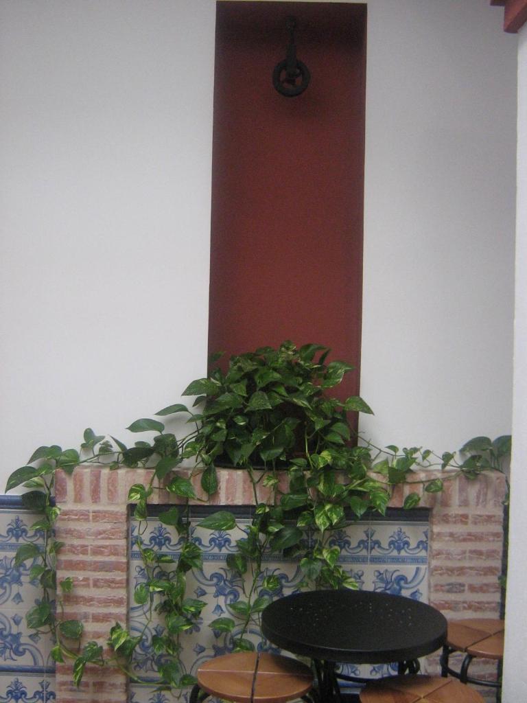 Apartamentos Turisticos Casa Cantillo photo 2