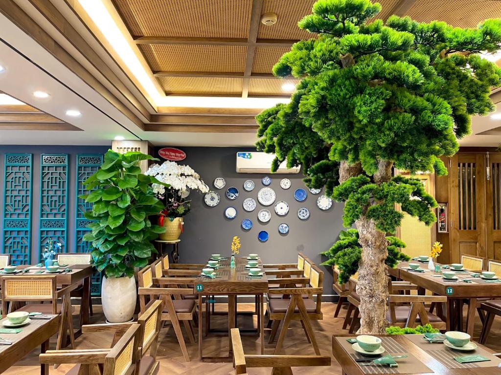 Sunshine Hotel & Apartment