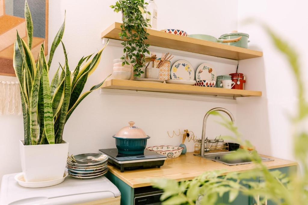 Langmandi Experience QT