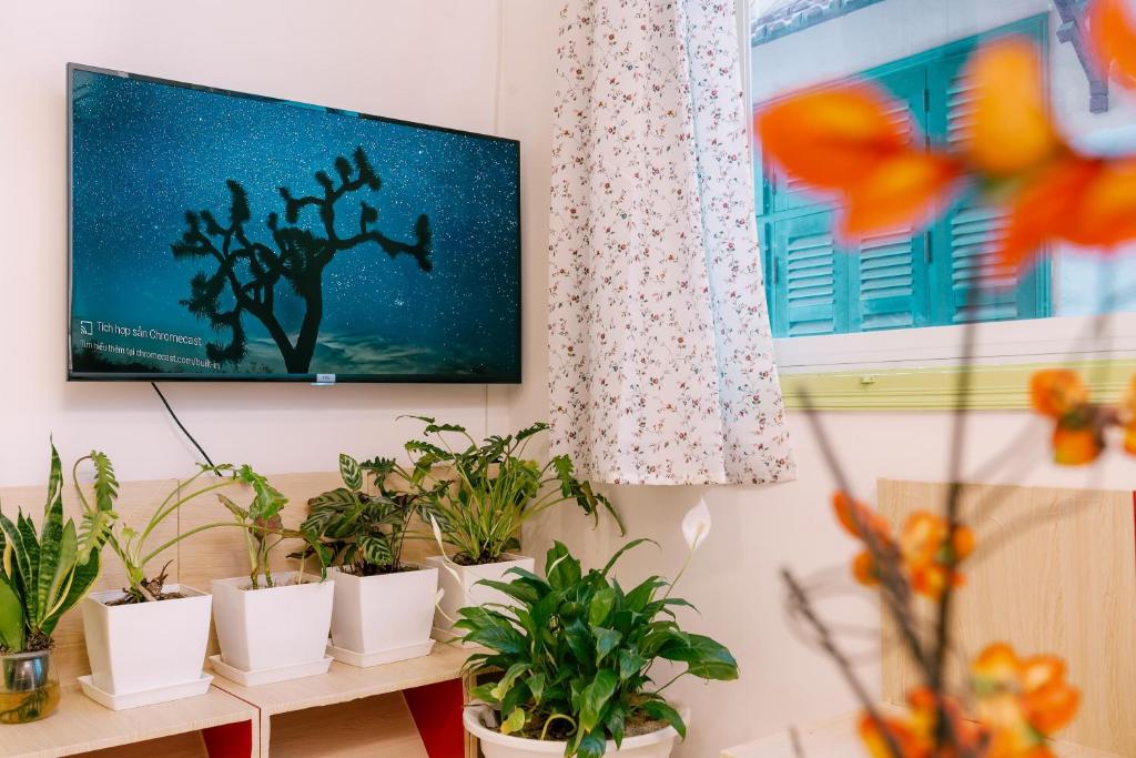 Langmandi Experience QT