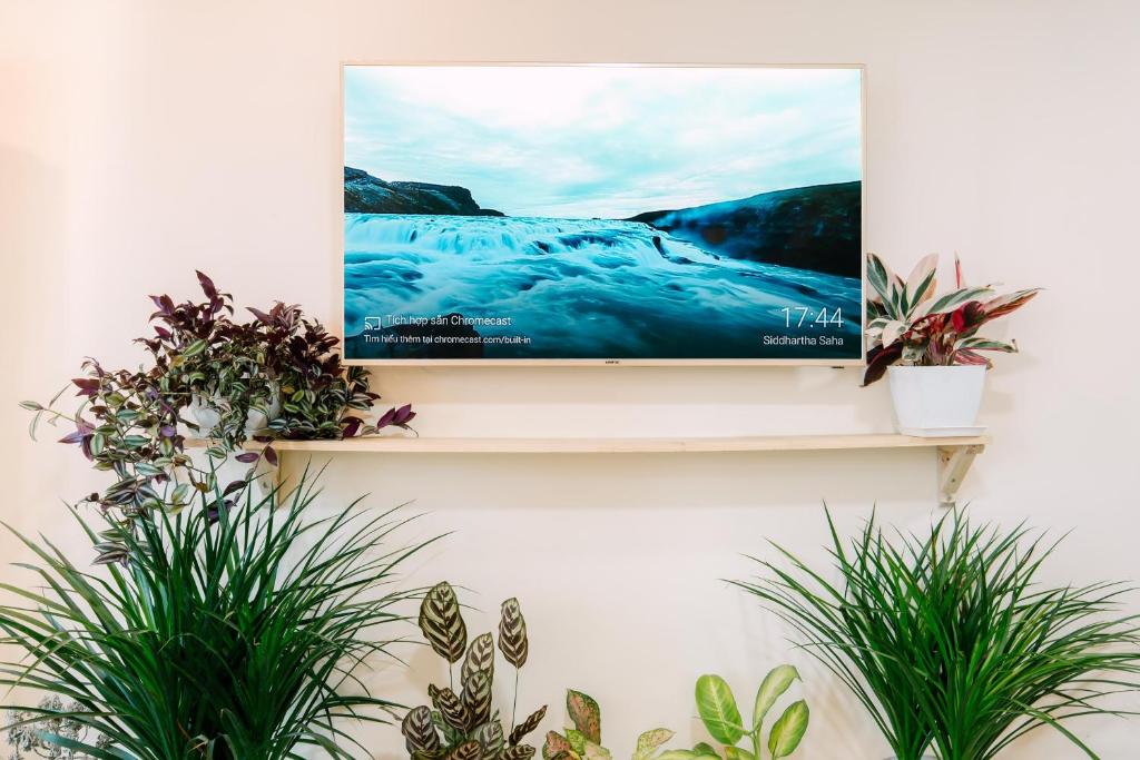 Langmandi Experience QT