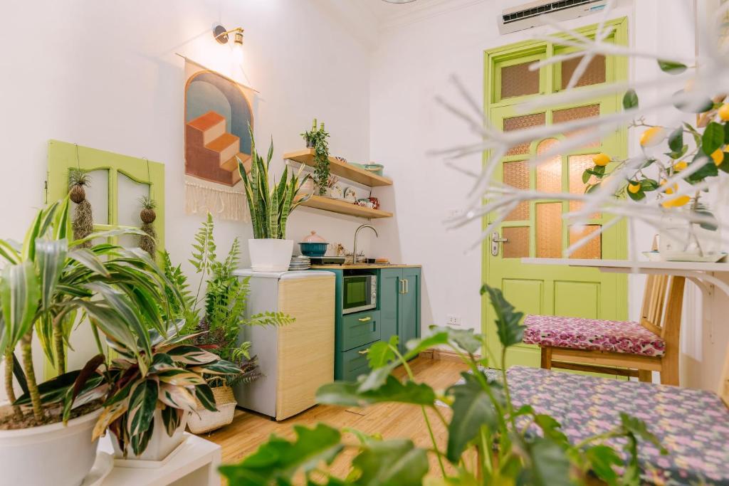 Langmandi Experience QT