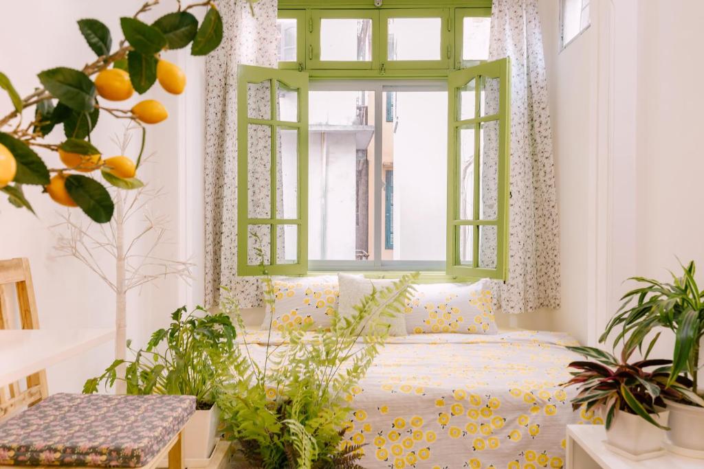 Langmandi Experience QT