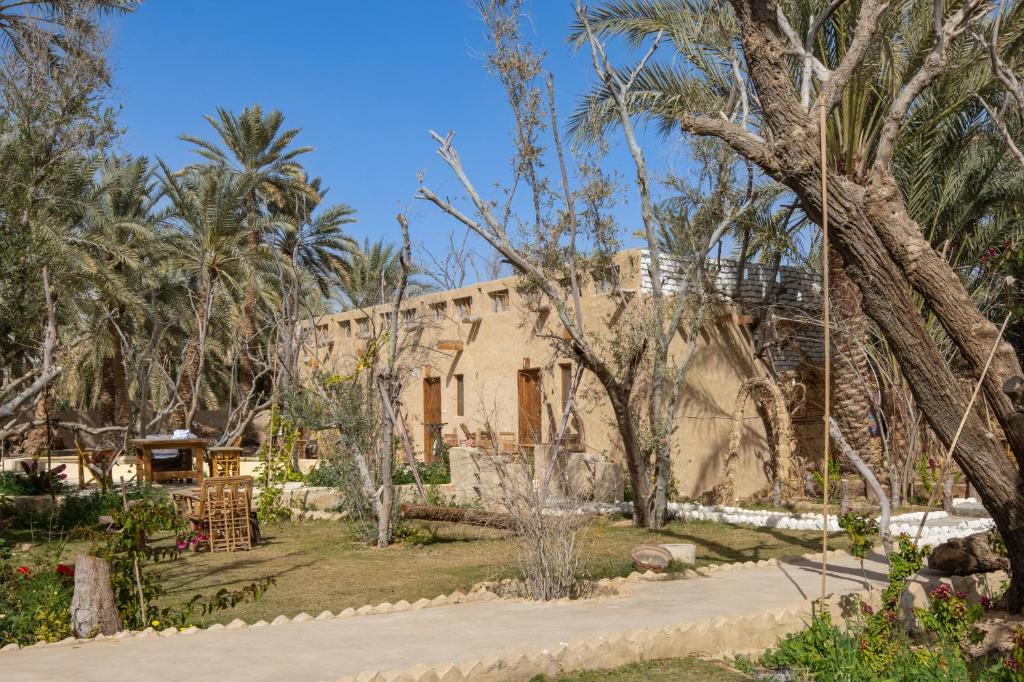 Olive Garden House Siwa Room Type - Deluxe Double Room