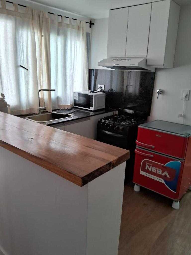 DEPARTAMENTO JARDIN photo 4