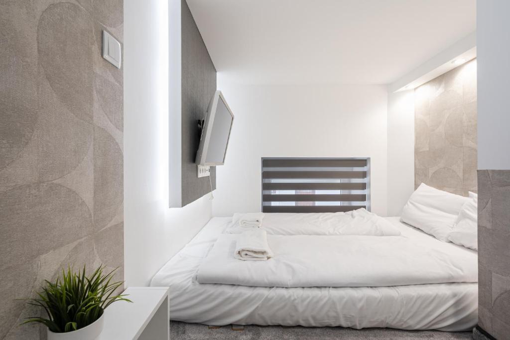 Nook Oasis Apartment