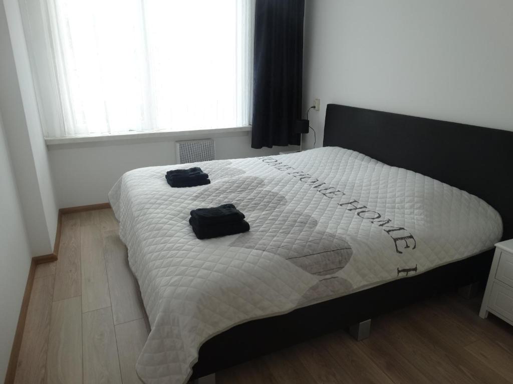 Appartement AanZee photo 2