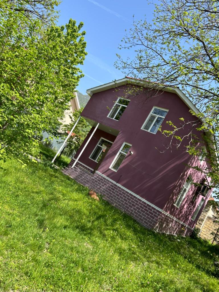 Love Garden House photo 4