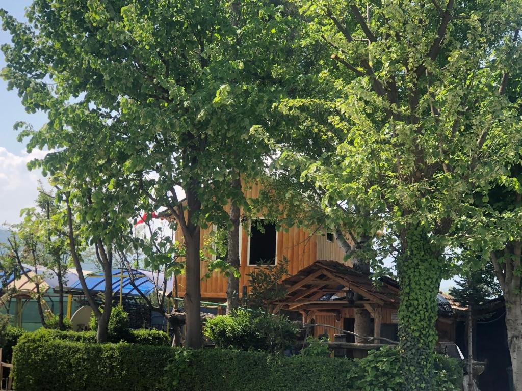 Bujtina Gashi Guest House photo 2