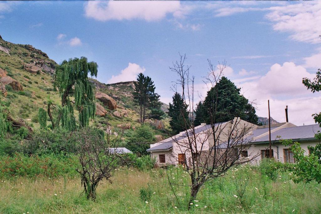 Aspen Guest House photo 2