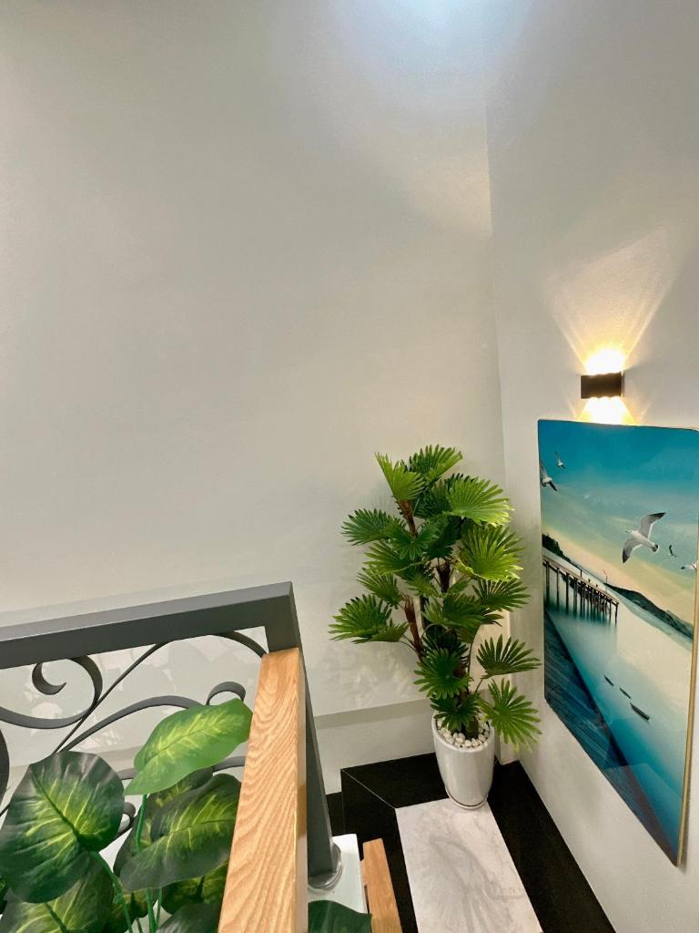 Nguyễn Trường Tộ Villa