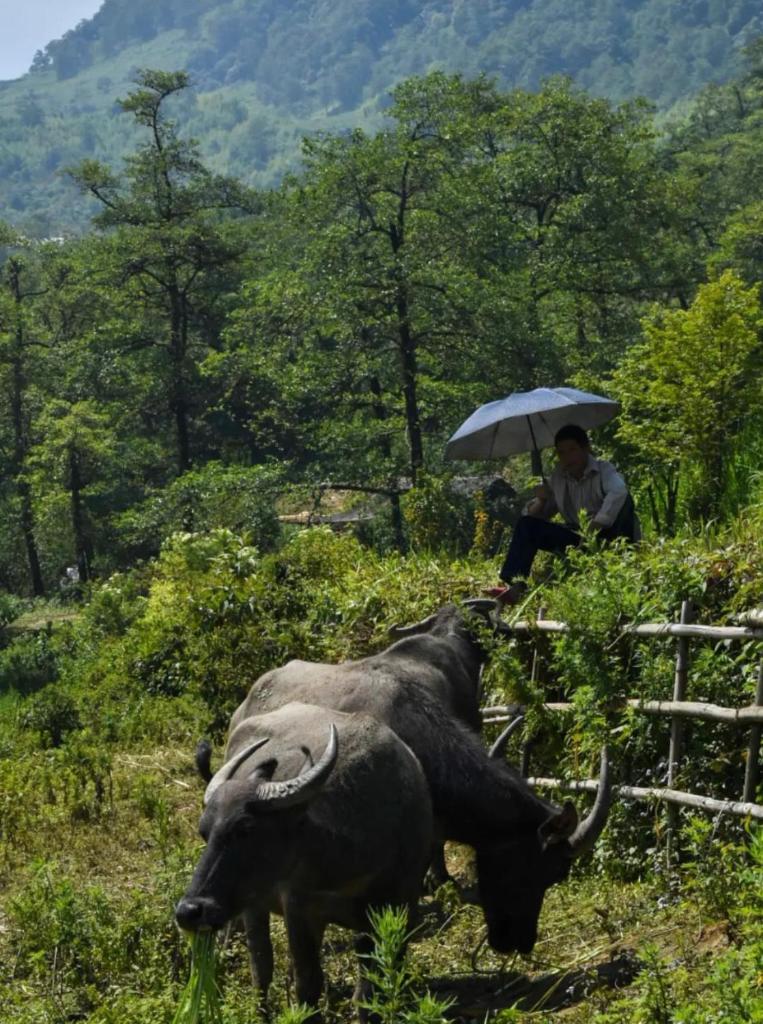 Moutain valley local homestay