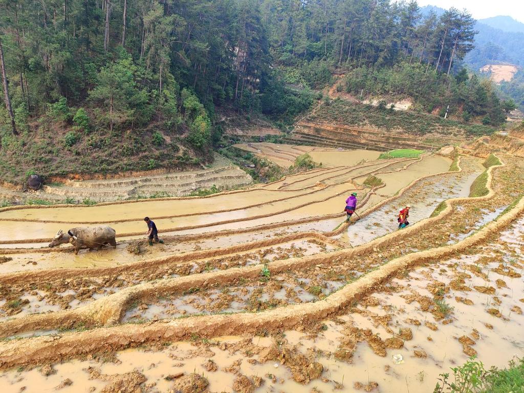 Hmong's Life Homestay