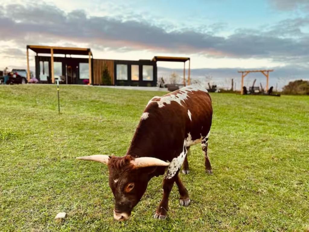 ‘Scenic Escapes’ Romantic Pine Grove Getaway! image