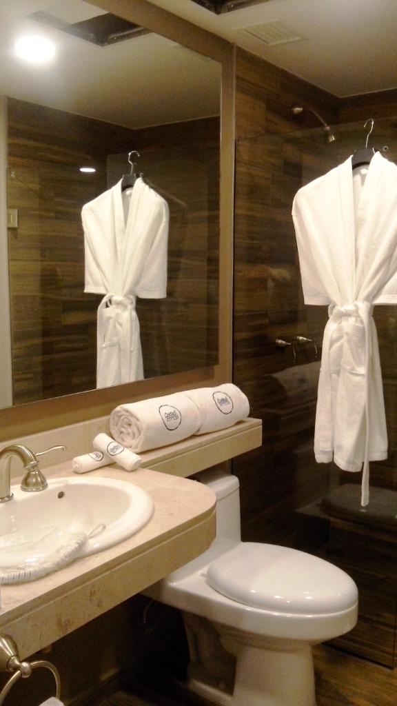 Двухместный (Номер Делюкс), Hotel Histórico Central