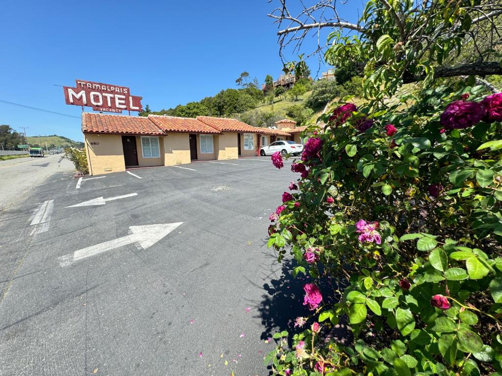 Tamalpais Motel image