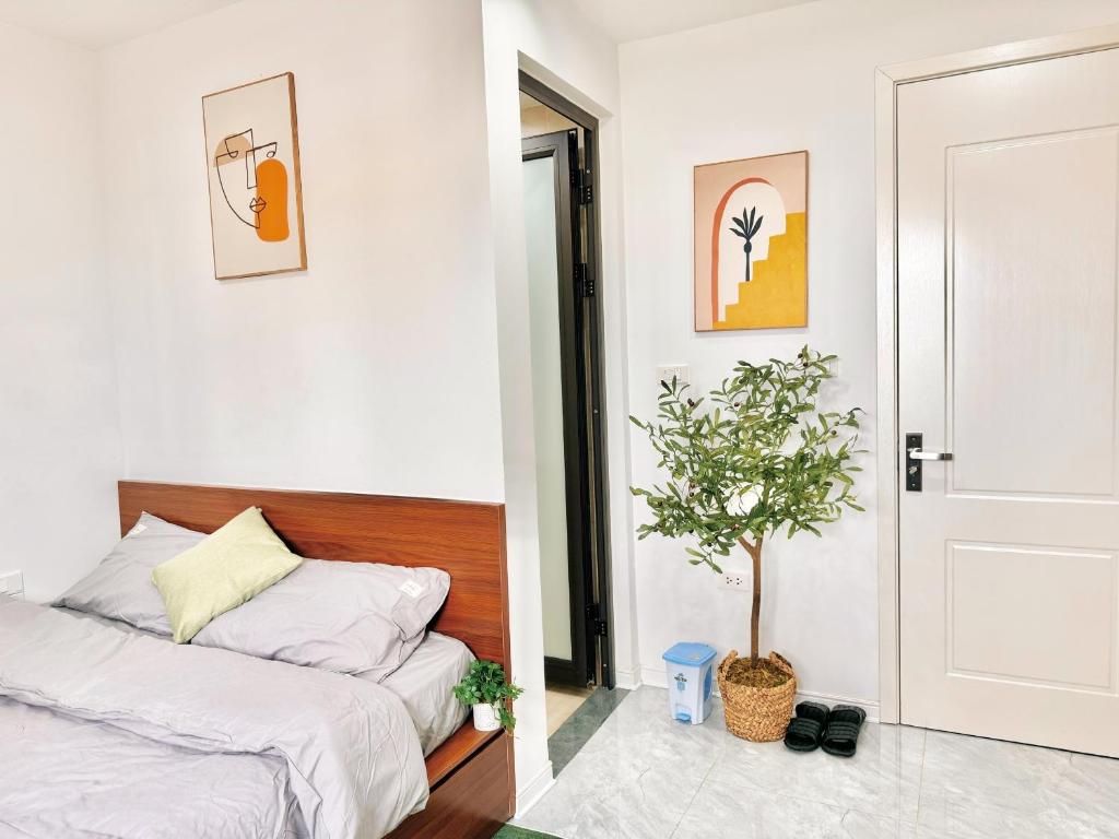 Modern & Comfy Apartment