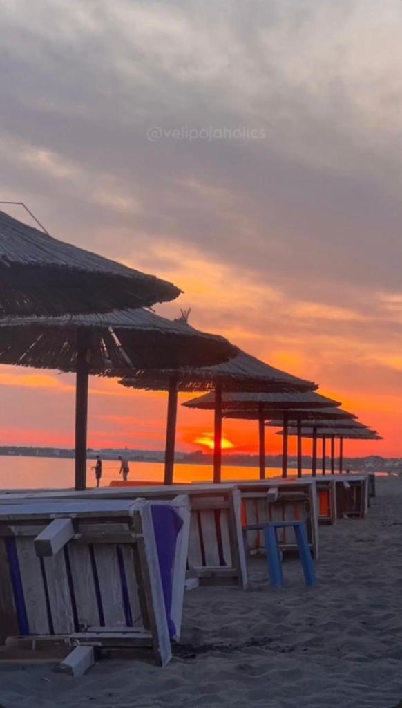 Guest Hours Kolaj photo 3