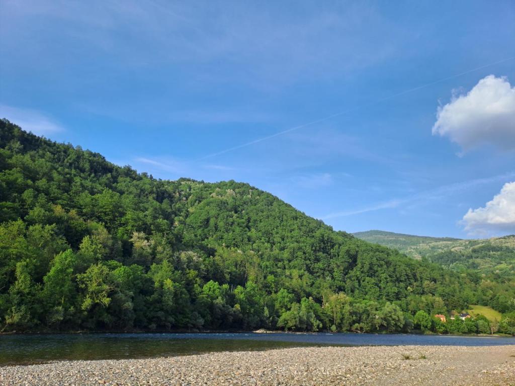 Zlatna plaža photo 3