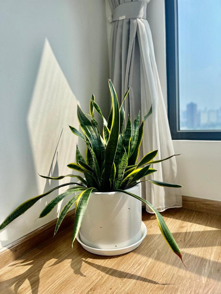 1 bedroom with twin bed in Vinhomes GreenBay Hanoi