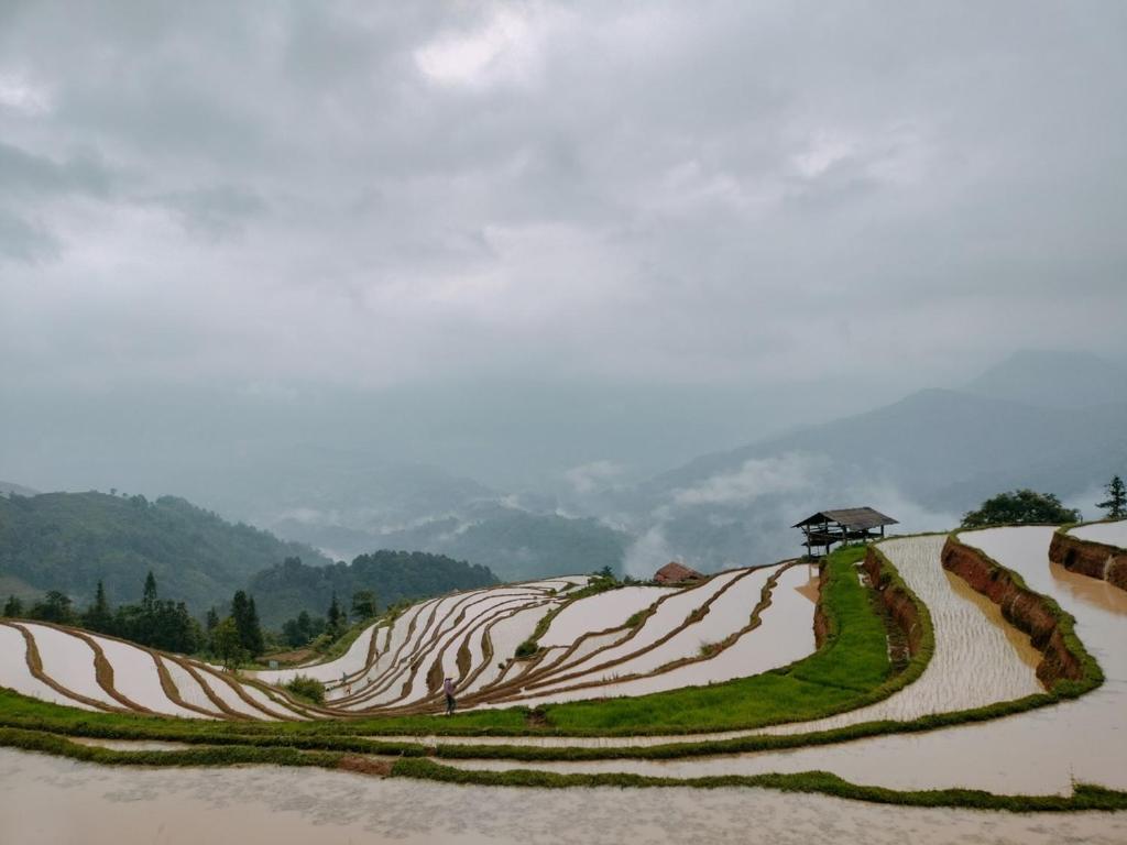 Móng Ngựa homestay - Hoàng Su Phì