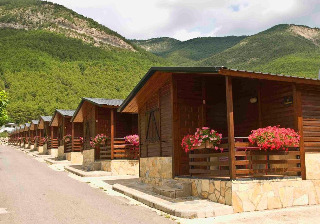 Camping Valle de Tena photo 3