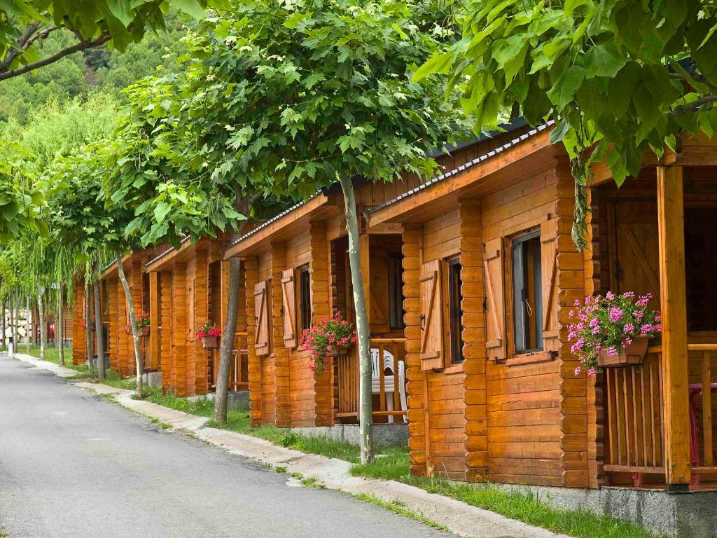 Camping Valle de Tena photo 4