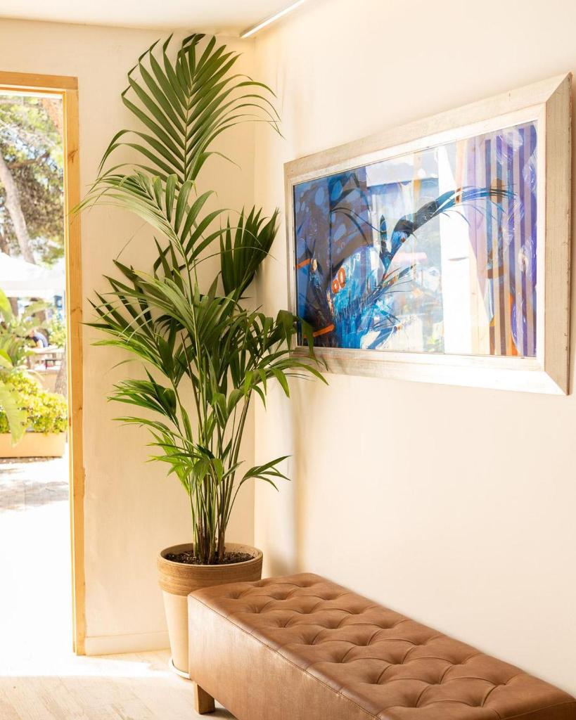 Sitges Beach Hostal Room Type - Deluxe Double Room with Balcony
