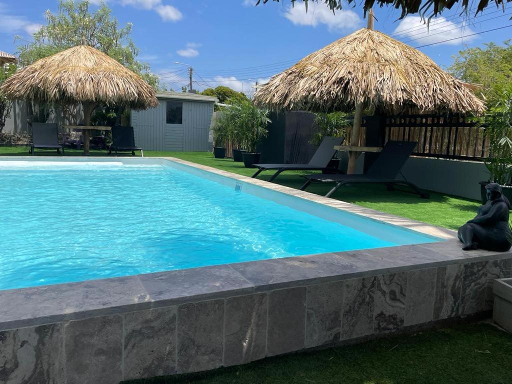 Palmhouse Aruba 1-2 persons photo 1