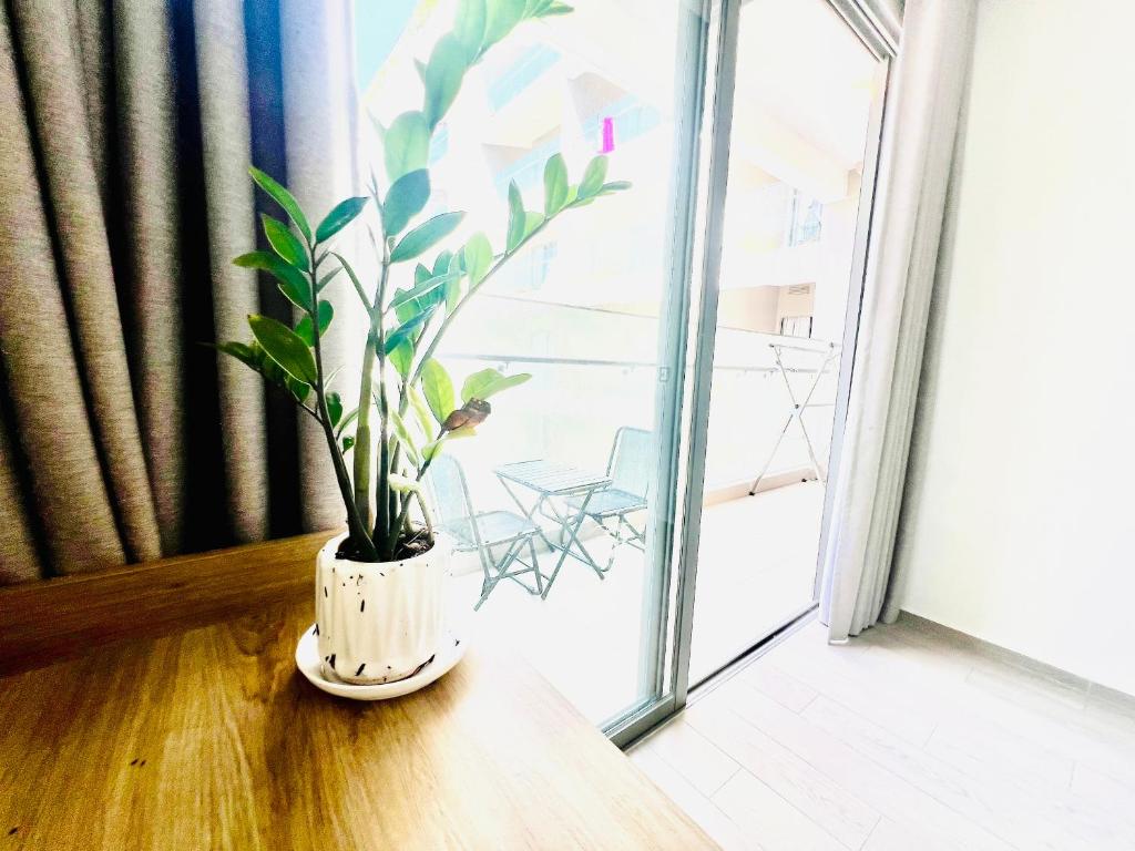 Blue Sea vũng Tàu Villa & Arpartments Triệu Vũ host