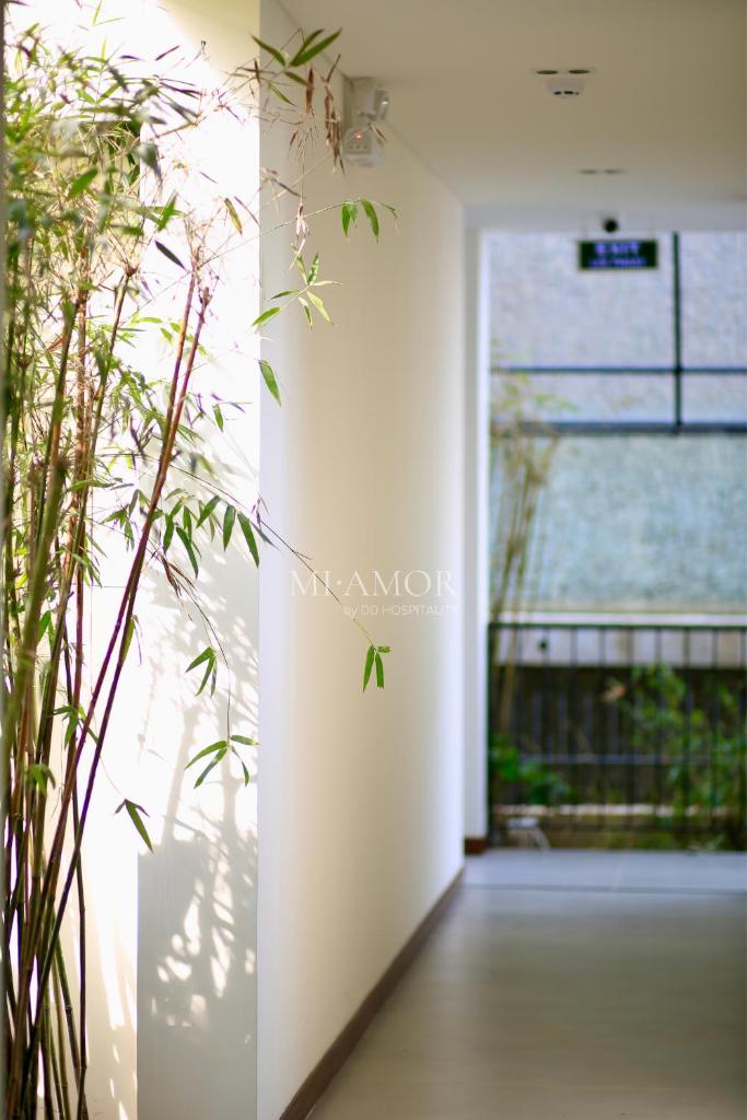 DD Hospitality - Mi Amor Da Lat