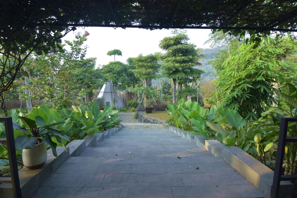 Sarga Earthing Resort photo 4