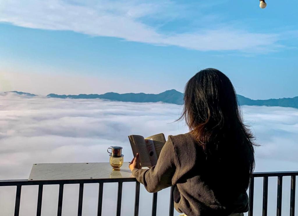 Mây House – Sống Lưng Khủng Long