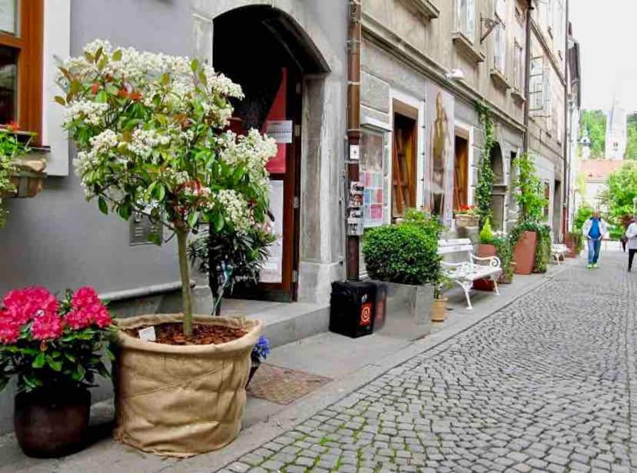 Artistic Studio Quiet Crusader Street Apartment