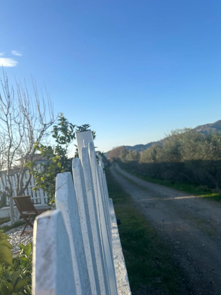 DSVilla photo 3