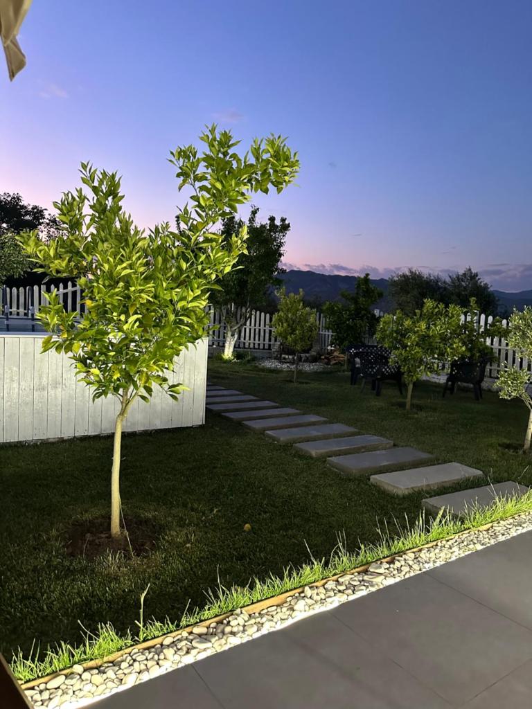 DSVilla photo 4