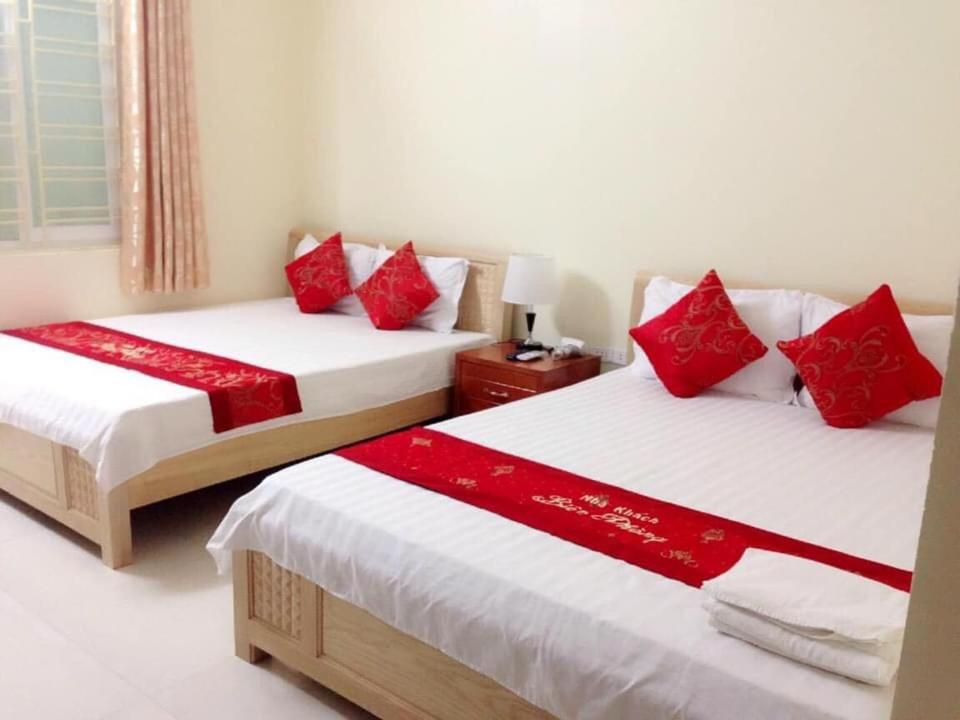 cat ba new city hostel