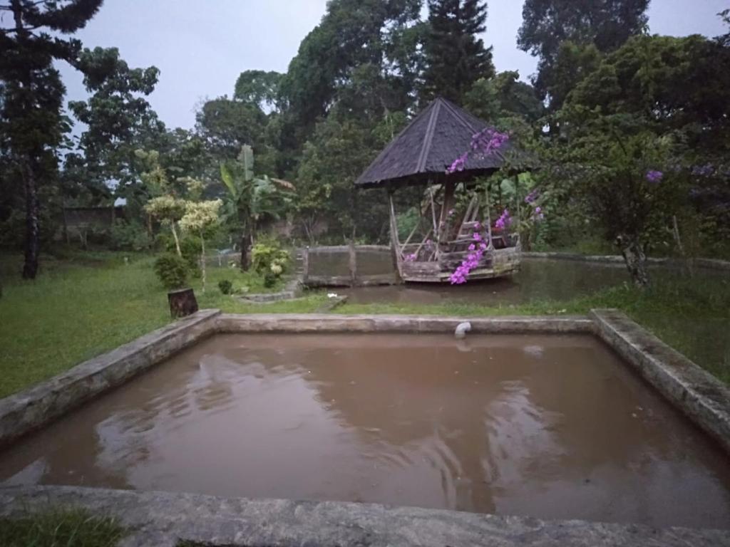 Villa Ledenfi photo 4