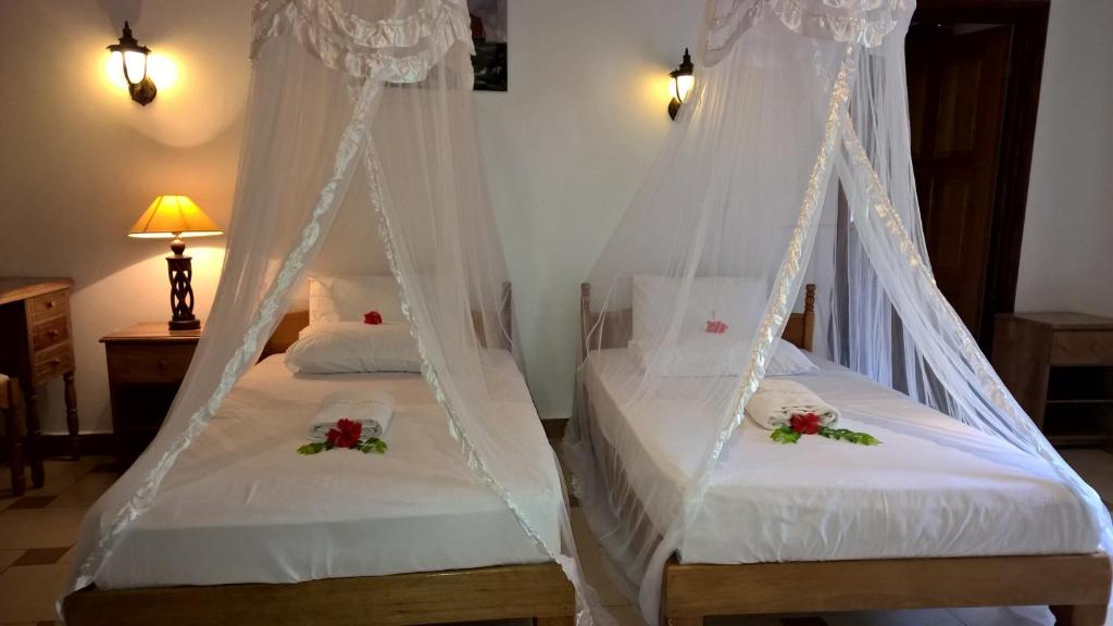 Семейный (Семейный номер), Etoile Labrine