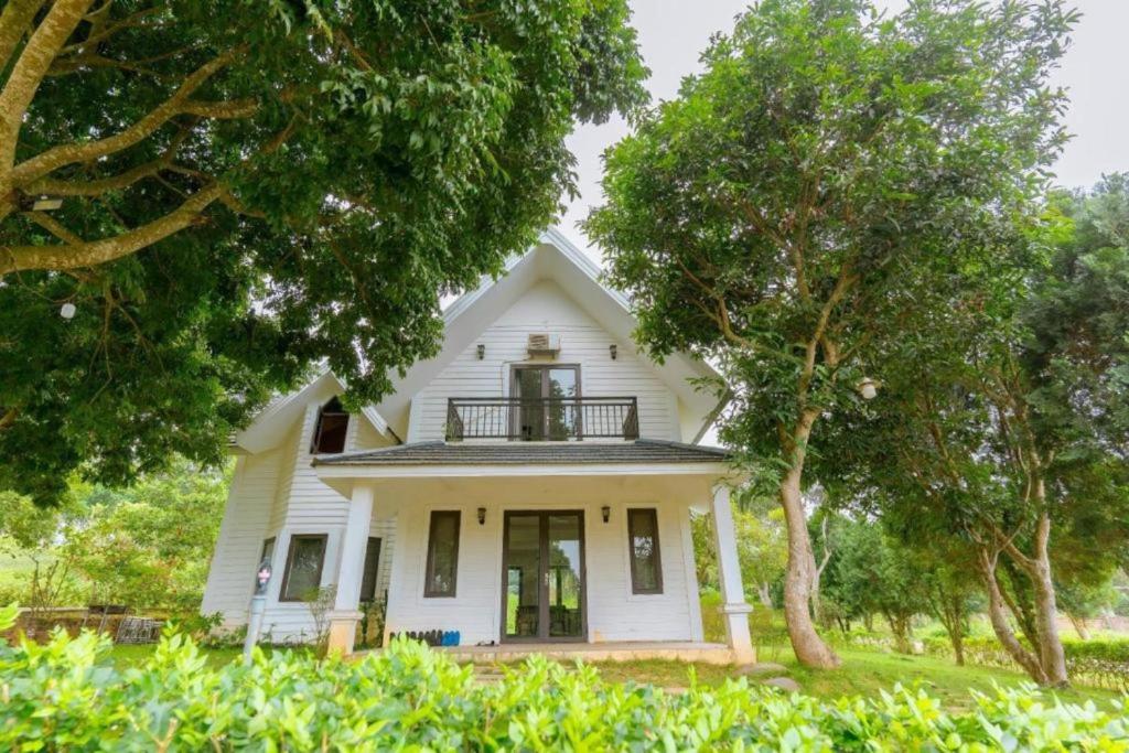 Maryland Garden - Venustay