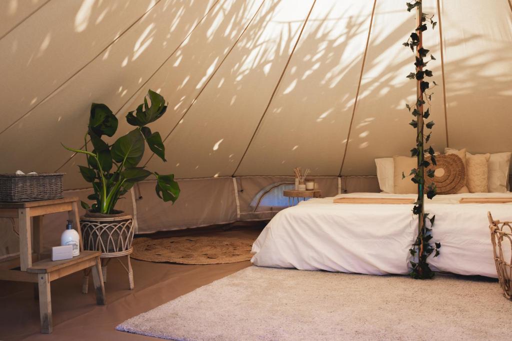 Glamping La Ferme photo 3