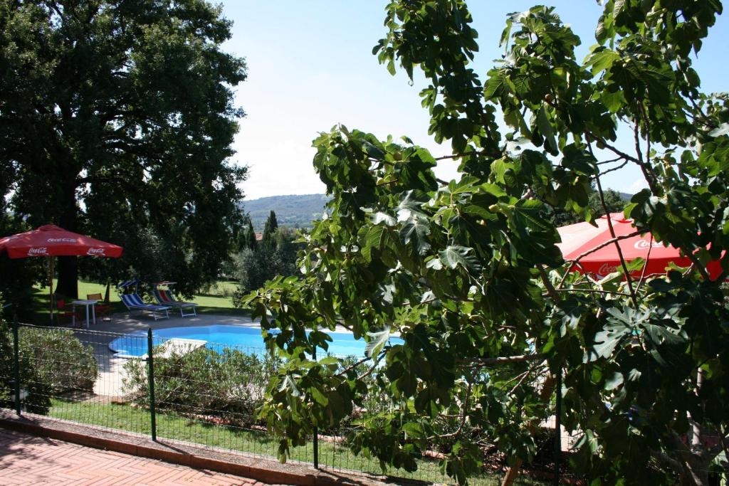 Casa Felice photo 3