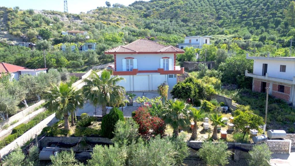 Villa Skendo photo 1