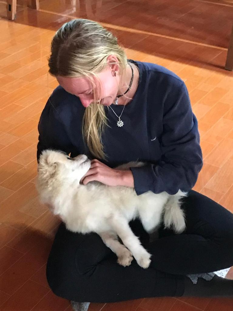 The Little Hmong House