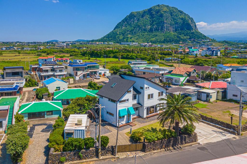Rein Jeju - Tap to explore photos
