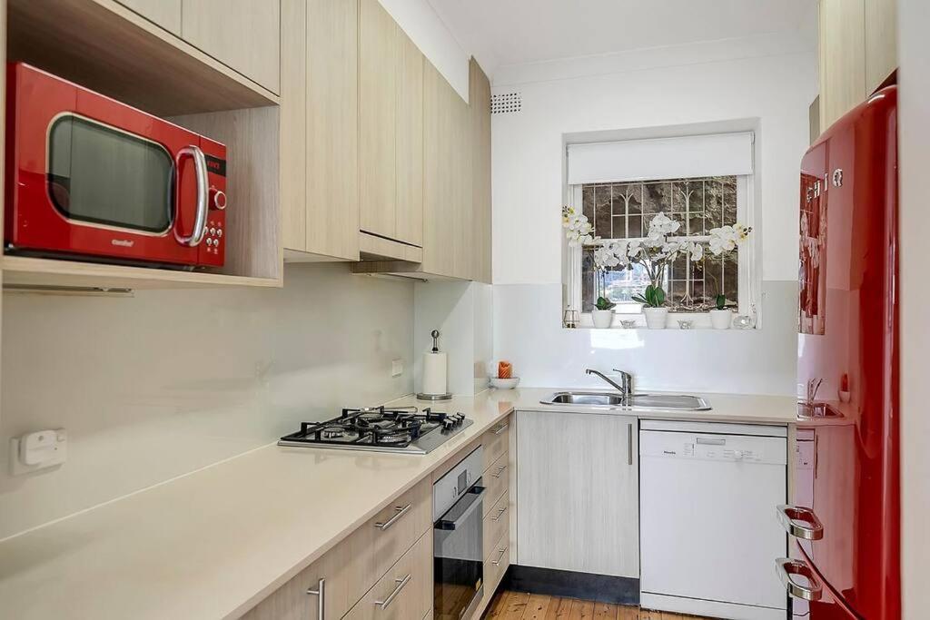 Kirribilli Kanangra photo 4