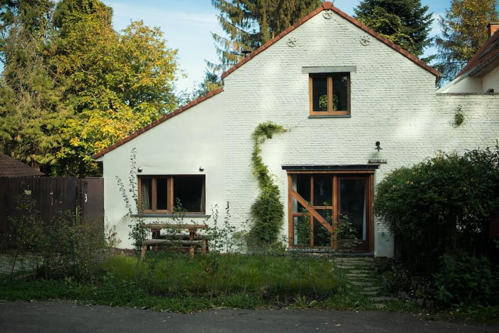 Het Bosnest, een vakantiewoning aan het Hallerbos photo 1