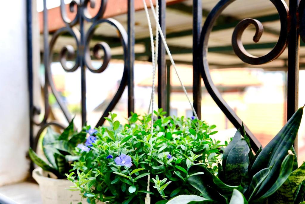 Sora Home One Bedroom